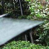 ���ڂ낰�ȃG�b�W